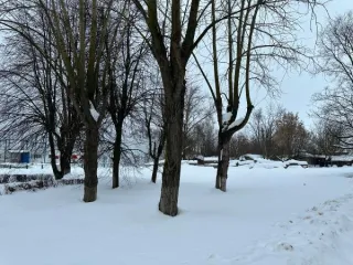 Земельный участок 2157 кв.м, Московская область, кадастровый номер 50:39:0050509:172. Основной вид разрешенного использования: 3.3.