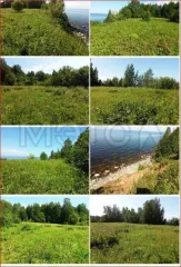 Земельный участок 19000+/-381 кв.м. для сельскохозяйственного использования в Вытегорском районе Вологодской области, кадастровый номер 35:01:0301004:213. Расположен примерно в 1350 м на северо-восток от здания новой часовни по адресу Вологодская обл., Вытегорский р-н, с/п Казаковское, д. Голяши…
