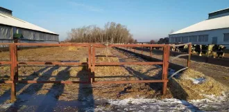 КРС 140 ед., в т.ч. коровы в кол-ве 100 голов, телки в кол-ве 40 голов. Имущество расположено по адресу: РМ, р-н. Ельниковский, д. Мельсяны, ул. А.Пиксаева, д. 44.