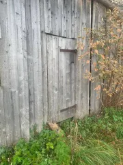 Земельный участок 3600 кв.м и дом 22 кв.м, Удмуртская Республика, Киясовский район, д. Старая Салья, ул. Новая, дом 22. Кадастровый номер участка 18:14:034002:154. Категория земель: Земли населённых пунктов, разрешенное использование: Ведение личного подсобного хозяйства. Общая долевая…