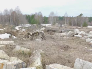 «Земельный участок  кад. № 62:05:2830101:146  площадью 13957 кв.м., по адресу Рязанская обл., Клепиковский р н, с. Макеево» «Земельный участок  кад. № 62:05:2830101:146  площадью 13957 кв.м., по адресу Рязанская обл., Клепиковский р н, с. Макеево»