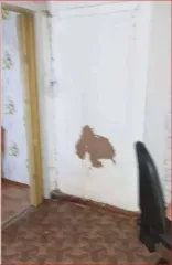 Квартира, 29,7 кв.м, 1 комн., Вологодская область, жилое помещение, площадь: 29,7кв.м., адрес (местонахождение): Российская Федерация, Вологодская область, м.о. Харовский, г. Харовск, ул. Луговая, д. 1, кв. 5, кадастровый номер: 35:12:0203009:379