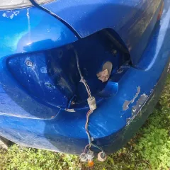 Автомобиль марки SUBARU модель Impreza 2006 г.в. номер кузова GG2 084327 Ознакомиться с предметом торгов можно по адресу: автостоянка г. Братск – ориентир Карла Маркса, 6, с момента публикации сообщения о продаже имущества и до окончания приема заявок, по предварительной записи по телефону 8901 65…