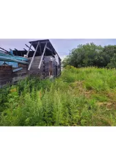 Земельный участок 1123 кв.м и жилой дом 66.5 кв.м (доли 24/44), Камчатский край. 1) Земельный участок (доля 24/44). Кадастровый номер: 41:01:0010125:275. Адрес (местоположение): Российская Федерация, Камчатский край, г.о. Петропавловск-Камчатский, г Петропавловск-Камчатский, ул Тундровая, з/у 55…