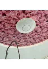 Жилой дом 87.1 кв.м и участок 800 кв.м, Астраханская область, Харабалинский район, город Харабали, улица Полынная, 9. Кадастровые номера: 30:10:110101:9652 (дом), 30:10:110101:8490 (участок).