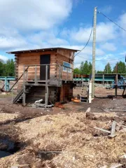 Производственный комплекс, включая недвижимое и движимое имущество: линия сортировки бревен на 7 карманов 2000 года выпуска; окорочный станок с подающим транспортером Cambio 66 1994 года выпуска. Рельсы одиночного пути протяженностью 335 м, кадастровый номер 11:09:0401001:258. Заточный станок для…