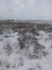 Земельный участок, площадь 7090 кв.м., адрес  местонахождение : Россия, Чувашская Республика, р н Комсомольский, Полевосундырское, Категория земель: земли сельскохозяйственного назначения, Виды разрешенного использования объекта недвижимости: для ведения личного подсобного хозяйства, кадастровый …