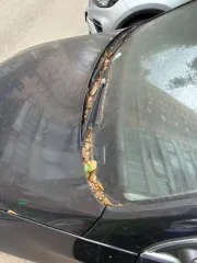Volkswagen Passat 2007, 150 лс, VIN WVWZZZ3CZ8P056144, госномер Х814МА790.