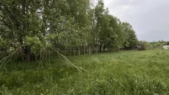 Земельный участок 1071 кв.м, Вид 2.1, Московская область с КН 50:08:0080109:529.