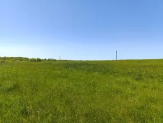 Земельный участок 30 329 кв. м, Калининградская обл., Зеленоградский р-н. Местоположение установлено относительно ориентира, расположенного в границах участка, почтовый адрес ориентира: Калининградская обл., Зеленоградский р-н, 400 м северо-западнее п. Поваровка, кадастровый номер 39:05:030401:133…