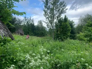 Земельный участок 805 кв.м. и жилой дом 28,2 кв.м., Новгородская обл. Земельный участок, площадь 805 кв.м., адрес (местонахождение): Россия, Новгородская, Маловишерский, д. Мстинский Мост, Набережная, дом 2а, кадастровый (условный) номер: 53:08:0102101:160, вид собственности: индивидуальная, Жилой…