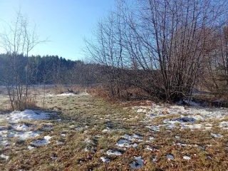 Помещение 35.6 м², Иркутская область, Зиминский район, с.Зулумай, ул.Лесная, пом.1А-2. Кадастровый номер 38:05:030603:57.