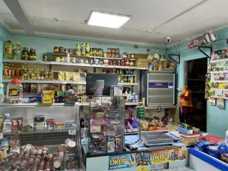 Магазин 38.4 кв.м, Республика Калмыкия, Яшкульский район Нежилое помещение (магазин) площадью 38,4 кв. м, вид разрешенного использования – торговое, кадастровый номер 08:14:240105:378, местонахождение: Республика Калмыкия, Яшкульский район, п. Яшкуль, ул. Микрорайон, д. 1, кв. 1. Вид права –…