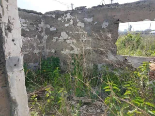 Конечно, пришлите текст объявления, и я его оптимизирую согласно вашим требованиям.