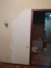 1/2 доли в квартире, 42,9 кв.м, г. Мичуринск, Тамбовская область. Недвижимое имущество - 1/2 доли в праве на жилое помещение - квартиры, площадью 42,90 кв.м, находящаяся в залоге у АО "Т-Банк", адрес: Россия, Тамбовская область, г Мичуринск, ул Чернышевского, д 19А, кв 5, (предмет залога)…