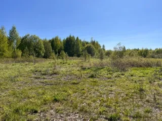 Земельный участок площадью 1891389 кв.м., кад. № 12:03:0202001:73, расположенный по адресу: РМЭ, Килемарский район, в восточной части кад.квартала №12:03:0202001 Вид разрешённого использования земельного участка: 1.0