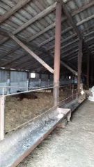 Земельный участок с кадастровым номером: 72:11:1201001:69; виды разрешенного использования объекта недвижимости: Для обслуживания зданий, строений; площадь: 64 205 кв. м.; вид права: Общая долевая собственность: 49759/64205; дата государственной регистрации: 07.06.2018 г.; Адрес: Местоположение…