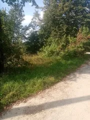 Земельный участок 600 кв.м Ивановская обл., р-н Комсомольский, с. Сорохта, д. 49. Кадастровый номер: 37:08:010510:86. Категория земель: Земли населенных пунктов. Виды разрешенного использования: Под объекты связи, радиовещания, телевидения и информатики. Запись о регистрации права собственности в…