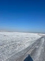 Земельный участок 600 кв.м, Забайкальский край, Читинский р-н, с. Верх-Чита, категория земель: земли населенных пунктов, виды разрешённого использования: для ведения личного подсобного хозяйства, расположенный по адресу: Забайкальский край, р-н Читинский, с Верх-Чита мкр. Мирный ул. Отрадная, 33…