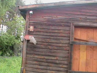 Здание детского сада 348,7 кв.м., 1960 г., Вологодская область. Общей площадью 348,7 кв.м., 1960 года постройки, кадастровый номер 35:08:0302013:271, расположенное на земельном участке с кадастровым номером 35:08:0302013:82, общей площадью 1887 кв.м., категория земель – земли населенных пунктов…