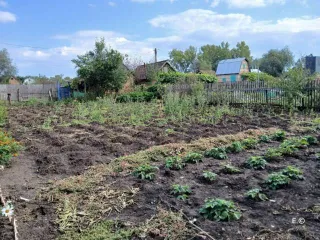Земельный участок 400 кв.м, Республика Башкортостан, адрес (местонахождение): Российская Федерация, Республика Башкортостан, м.р-н Мелеузовский, г.п. город Мелеуз, г Мелеуз, тер. Садоводческое Товарищество №4 Строитель Открытого Акционерного Общества Мелеузстрой, з/у 5/65, категория земель: Земли…