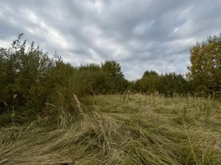 Земельный участок КН 50:29:0060208:1925, 1504 кв.м. Площадь земельного участка: 1504. Кадастровый номер земельного участка: 50:29:0060208:1925. Основной вид разрешенного использования: 2.1