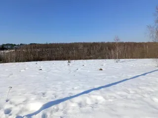 Земельный участок площадью 1092 кв.м, категория «земли населенных пунктов», вид разрешенного использования «Для индивидуального жилищного строительства» расположенного по адресу: Московская область, городской округ Кашира, д. Малеево. Основной вид разрешенного использования: 2.1. Площадь земельного…