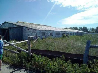 Часть здания коровника МТФ №5 (корпус №1) площадью 1 429,5 кв.м, кадастровый номер 13:12:0131001:973. Часть здания коровника МТФ №5 (корпус №2) площадью 1 180 кв.м, кадастровый номер 13:12:0131001:977. Корпус №3 МТФ №5 площадью 1 558,9 кв.м, кадастровый номер 13:12:0131001:616. Общая площадь 4…