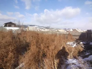 1/3 доли земельного участка площадью 576 кв.м, кадастровый номер 03:06:530105:285. Категория земель: сельскохозяйственного назначения. Разрешенное использование: для ведения гражданами садоводства и огородничества. Адрес: Респ. Бурятия, Заиграевский р-н, СНТ «Кирпичник», участок №119.