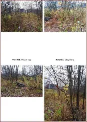 Земельный участок 455 кв.м, г. Киров, Кировская область, площадь: 455кв.м., адрес (местонахождение): Кировская обл, г Киров, тер сдт Красная Гвоздика, уч 57, категория земель: Земли сельскохозяйственного назначения, разрешенное использование: для садоводства, кадастровый номер: 43:40:073905:301, на…