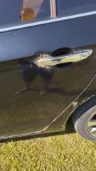 Lifan Cebrium 2015 года, 128 л.с., пробег 150 000 км, VIN X9W214815F0002651, госномер Р423СО62.