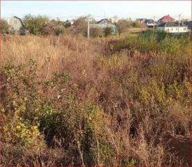 Право аренды земельного участка, 1500 кв.м, Липецкая обл., Усмань. Право аренды земельного участка в Липецкой обл., 1500 кв.м. Право аренды на земельный участок, площадь: 1 500кв.м., адрес (местонахождение): Российская Федерация, Липецкая область, Усманский муниципальный район, городское поселение…