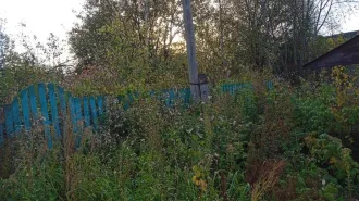 Земельный участок площадью 4700 кв.м. Кадастровый номер: 33:11:110503:34. Виды разрешенного использования: личное подсобное хозяйство. Адрес: Владимирская область, Судогодский район, сельское поселение Андреевское, деревня Мостищи, земельный участок 7. Ознакомиться с имуществом можно по месту его…