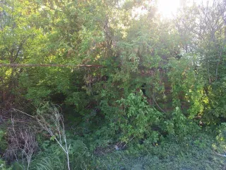 Жилой дом 17.5 м² и земельный участок 680 м², Тамбовская область, Жердевский район, город Жердевка, улица Свобода, дом 52. Назначение дома: жилое. Земельный участок для ведения личного подсобного хозяйства. Доля в праве общей долевой собственности на каждый объект составляет 1/2.