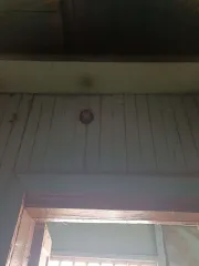 1/5 доли в жилом доме (кадастровый номер: 42:06:0101001:1839, площадь: 43,6 кв.м., местонахождение: Кемеровская область, Ленинск-Кузнецкий район, с. Красное, ул. Кирова, д.83) и 1/5 доли на земельный участок (кадастровый номер: 42:06:0101001:665, площадь: 1 576 кв.м., виды разрешенного…