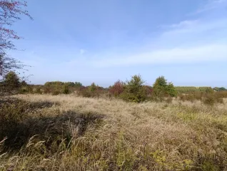 Земельный участок 33 046 кв.м, Калининградская обл, Гурьевский р-н, 33 046 +/- 64 кв.м, адрес: местоположение установлено относительно ориентира, расположенного в границах участка, почтовый адрес ориентира: местоположение установлено относительно ориентира, расположенного в границах участка…