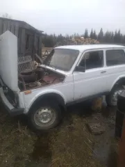 ВАЗ 2121 1990 года, идентификационный номер ХТА212100М0820009. Двигатель 2106 8636079, бензиновый, кузов 0820009, цвет белый. ПТС 38 КХ 932542 от 21.11.2007. Находится по адресу: 665530, Иркутская область, муниципальный округ Чунский, д. Новобалтурина, ул. Центральная, 1.