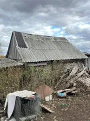 Дом 9,4 кв.м и земельный участок 2000 кв.м в Пензенской области, Пензенский район, село Загоскино, улица Совхозная, дом 31. Назначение участка: земли населённых пунктов, кадастровый номер 58:24:0080503:4. Назначение здания: жилое, кадастровый номер 58:24:0080503:28.