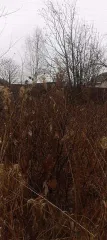 Земельный участок, 800 м², Серов, Свердловская область для возделывания сельхоз культур. Кадастровый номер: 66:61:0224005:17. Местоположение: Свердловская область, г. Серов, кол.сад госучреждений. Площадь: 800.