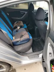 Hyundai Elantra 2012 года выпуска, VIN: KMHDH41CACU478533. Ознакомление в рабочие дни с 10:00 до 16:00 по месту нахождения: Челябинская область, город Троицк, микрорайон Жиркомбинат, дом 11. Согласование времени и даты по телефону 8-999-414-30-70 или электронной почте au_laptev@mail.ru.