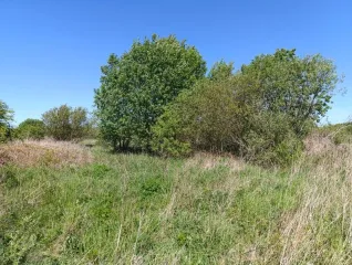 Земельный участок 92 435 кв. м, жилая застройка, Зеленоградский р-н, Калининградская обл. Кадастровый номер 39:05:030511:8, земли населенных пунктов - жилая застройка.