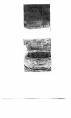 Lada Largus 2018, легковой универсал, госномер А339ТМ186, VIN XTARS045LK1131033, цвет белый, район Советский, город Советский, микрорайон Западный, 3А.