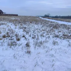 Земельный участок площадью 978 кв. м, кадастровый номер 03:06:560101:2801, категория земель - земли населенных пунктов, вид разрешенного использования — для индивидуальной жилой застройки. Местоположение установлено относительно ориентира, расположенного в границах участка. Почтовый адрес…