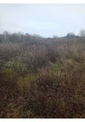 Земельный участок площадью 600 кв.м, расположенный по адресу: Курская область, Курский район, Полевской сельсовет, ул. Набережная, д. 143. Кадастровый номер: 46:11:150206:648. В Едином государственном реестре недвижимости отсутствуют сведения о местоположении границ земельного участка. Регистрация…