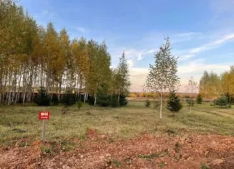 Продажа имущества Несина Сергея Николаевича. Земельный участок  для индивидуального жилищного строительства , площадью 1100 кв. м., кадастровый номер 50:33:0010101:1199, адрес  местоположение  объекта: Московская обл., г.о. Ступино, с. Семеновское Лот №1  Лот №1 Земельный участок  для…