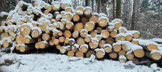 Годные остатки: древесина породы «ель», 438,41 куб. м. Реализуется в качестве годных остатков, а также в качестве вторичного сырья, лома, утиля. Описание лота см. в разделе "документы" п. 3 извещения (информационного сообщения). Имущество продается в том виде, в каком оно есть, и в случае продажи…