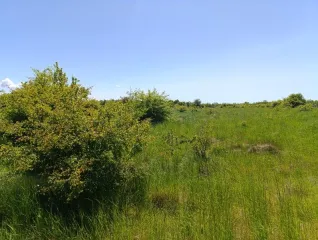 Земельный участок 32 303 кв. м, Калининградская область, Зеленоградский район. Местоположение установлено относительно ориентира, расположенного за пределами участка, ориентир п. Поваровка, участок находится примерно в 600 м по направлению на восток от ориентира, почтовый адрес ориентира…