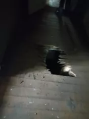 Здание дома досуга, площадью 318,7 кв.м., кадастровый номер 69:06:0150101:455, расположенное по адресу: Тверская область, Вышневолоцкий муниципальный округ, с. Осечно, ул. Школьная, д. 53 Земельный участок под объектом недвижимости площадью 1 957 кв.м., с кадастровым номером 69:06:0150101:453…
