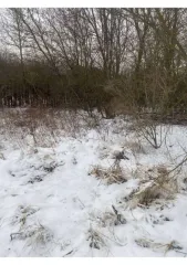 Нежилое здание 52,6 кв.м и участок 1569 кв.м, Тамбовская обл. Нежилое здание, площадь: 52,6кв.м., кадастровый номер: 68:20:3618002:36 и земельный участок, площадь: 1 569кв.м., категория земель: Земли сельскохозяйственного назначения, разрешенное использование: для садоводства, кадастровый номер…