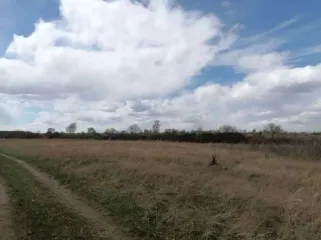 Земельный участок, площадью 746+/-10 кв.м., кадастровый номер 19:01:130501:1073, расположенный по адресу: РОССИЯ, Республика Хакасия, городской округ город Абакан, город Абакан, Территория СОСН Колягинские холмы-Колягино-1, улица Пихтовая, земельный участок 23А.